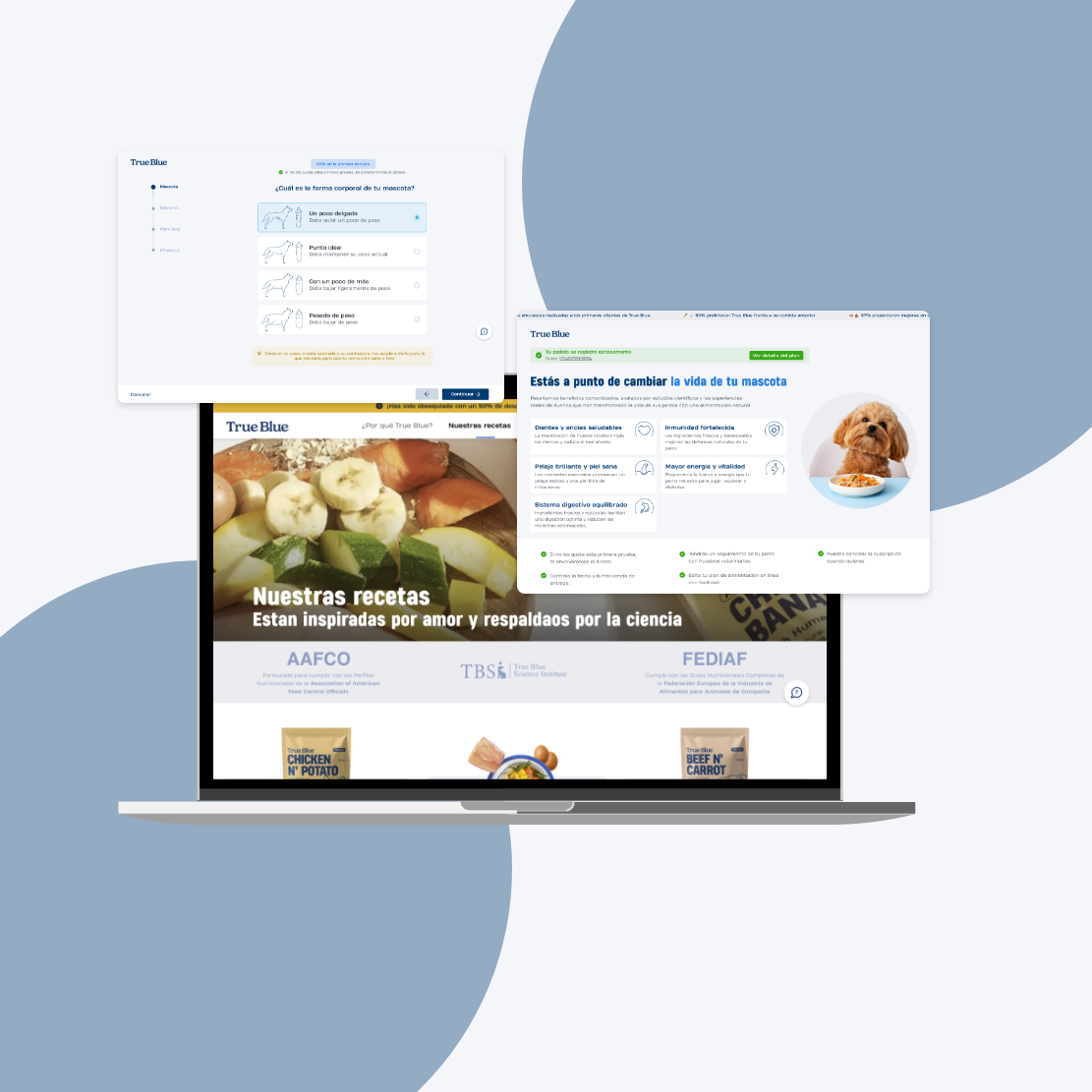 img briefcase trueblue